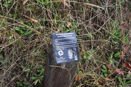 Short plant identification signage – plant ID signs throughout trail system Short plant identification signage – plant ID signs throughout trail system